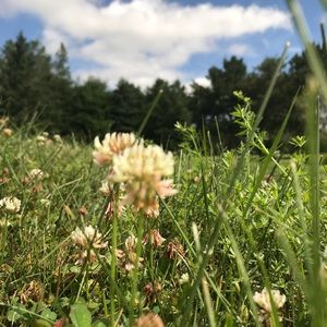 Meet your Posher, Margaret